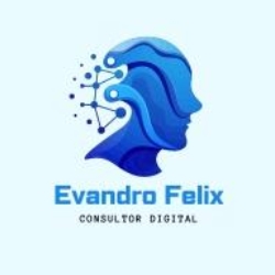 Evandro Felix  Google Meu Negócio Leads Marketing Digital SEO Mogi Mirim