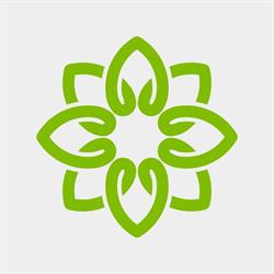 Terra Flor Aromaterapia