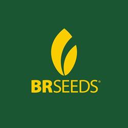 BRSEEDS SEMENTES