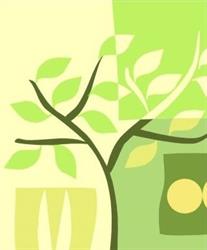 Programa de Pós-Graduação em Física Ambiental