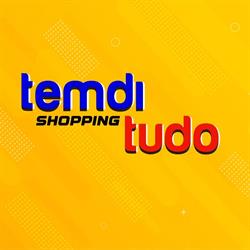 Temdi Tudo
