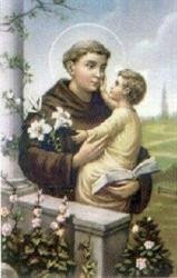 Paróquia Santo Antônio do Parolin