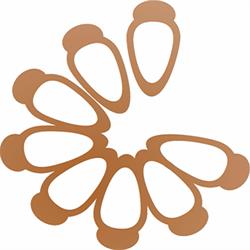 Incubadora Tecnológica de Cooperativas Populares - ITCP/UFPR
