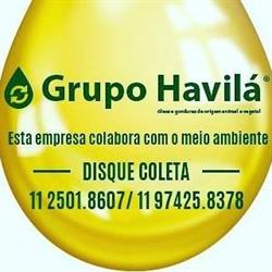 Grupo Havilá