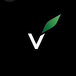 Vigran