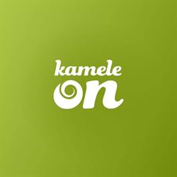 Kameleon Bags