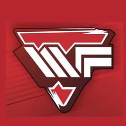 WF Produtos Siderúrgicos