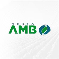 Grupo AMB