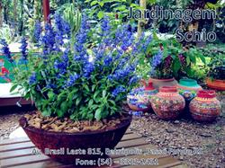 Jardinagem Schio