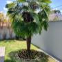Plantio de Flores