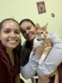 veterinária pedreira 17