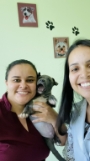 veterinária pedreira 27