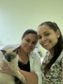 veterinária pedreira 2