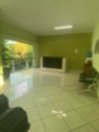 veterinária pedreira 34