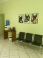 veterinária pedreira 35