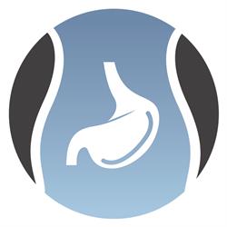 Instituto Laparo - Cirurgia Geral Avançada