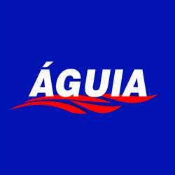 Águia Fretamento e Turismo