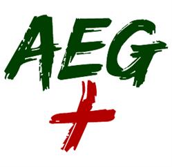 AEGPlus