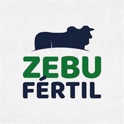 Zebu Fértil
