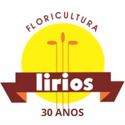 Floricultura Lírios MG - Flores Betim
