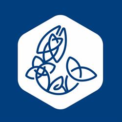 Fintan Academy - Escola de Negócios
