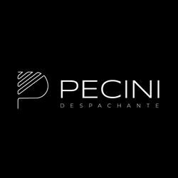 Despachante Pecini (Jardim São Paulo) Na Zona Norte