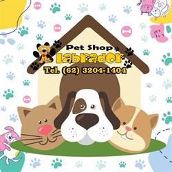Pet Shop Labrador