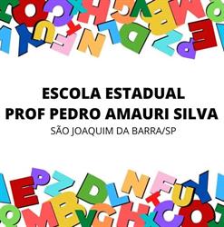 Escola Estadual Professor Pedro Amauri Silva