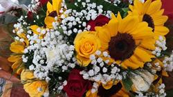 Floricultura Jasmim