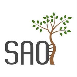 SAO- Serviço de Artroscopia e Ortopedia