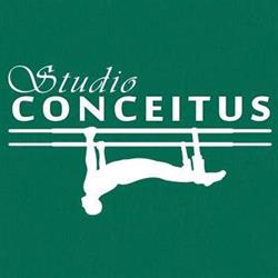 STUDIO CONCEITUS DE PILATES