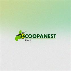COOPANESTPI - Cooperativa dos Médicos Anestesiologistas do Piauí