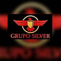 Grupo Silver Segurança