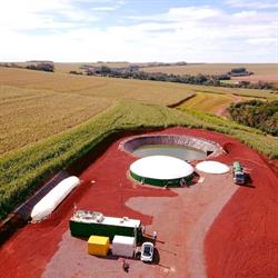 Biokohler Biodigestores