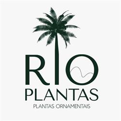 Rio Plantas Ornamentais