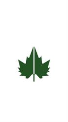 Platanus Turismo - Agencia de Viagem