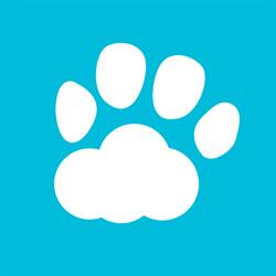 Céu de Patas