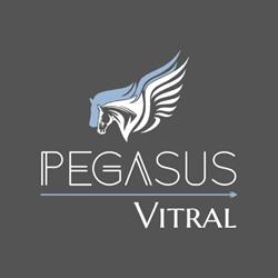 Pegasus Vitral Vidraçaria