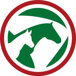 Haras Terra Brasilis