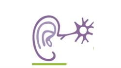Centro de Reabilitação e Estudos em Neuroaudiologia