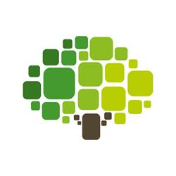 Brain Business School