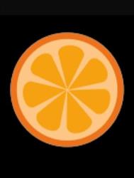 Orange Custom Systems