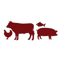 ALIMENTAR DISTRIBUIDORA DE ALIMENTOS