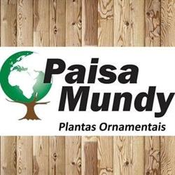 Floricultura Paisa Mundy - Centro
