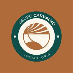 Grupo Carvalho Consultoria