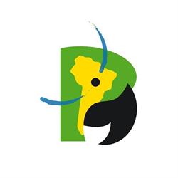 Aventura do Brasil