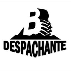 Bruno Despachante Veicular