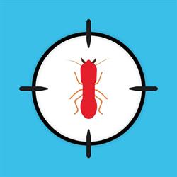 InsectControl Controle de Pragas