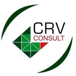 CRV CONSULT - Recrutamento e Seleção e Consultoria de RH em Uberlândia.