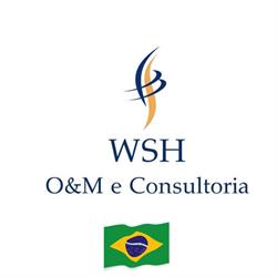 WSH O&M E CONSULTORIA LTDA